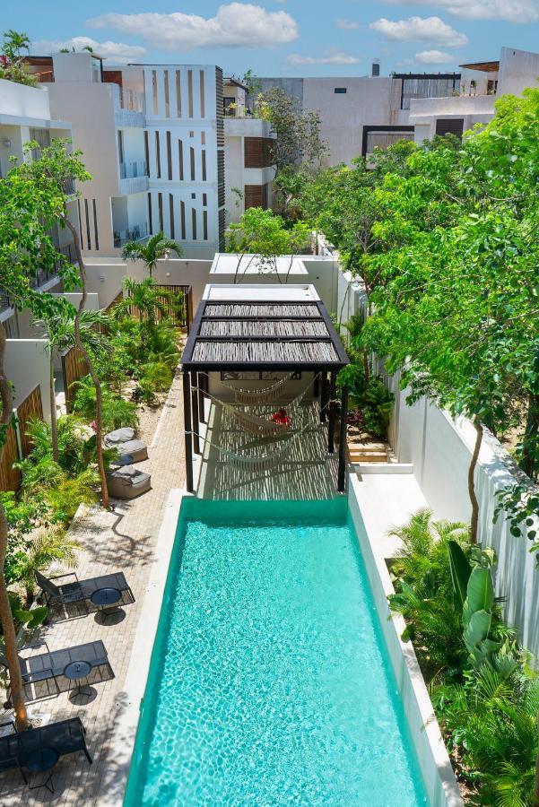 טולום Private Pool And Roof Top For 3 In La Veleta מראה חיצוני תמונה