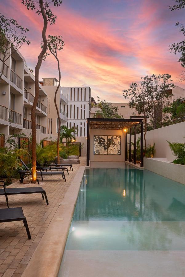 טולום Private Pool And Roof Top For 3 In La Veleta מראה חיצוני תמונה